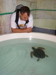 Turtle_Rescue_Center